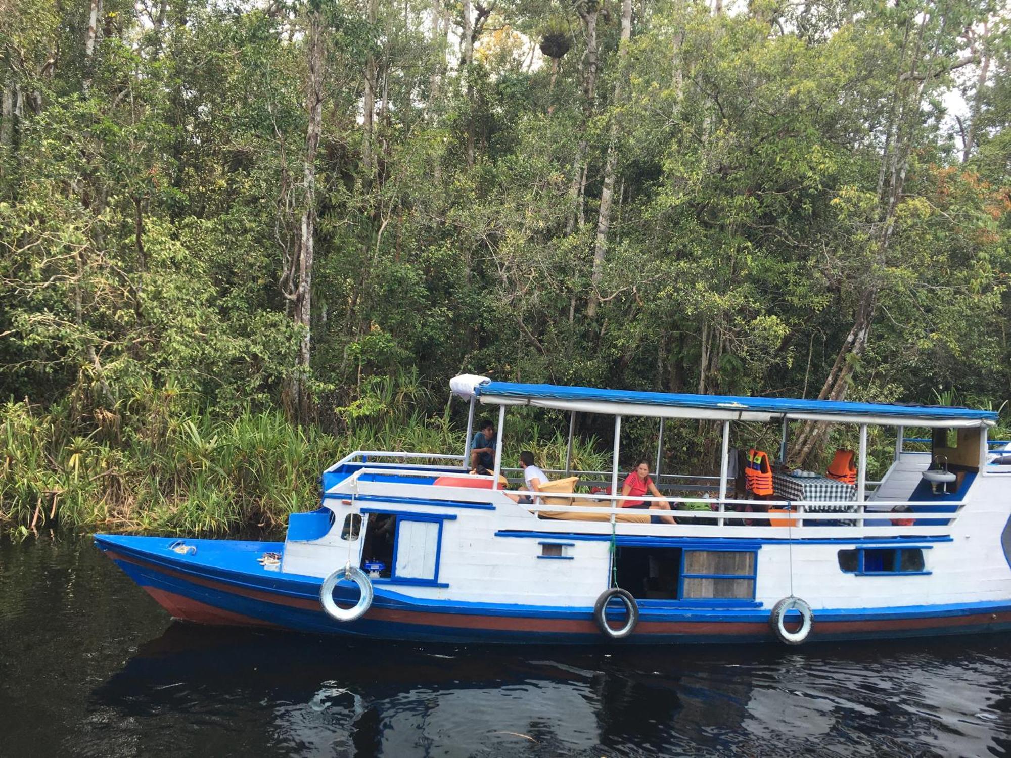 Orangutan Shaka Houseboat With Cabin Pangkalanbuun Buitenkant foto