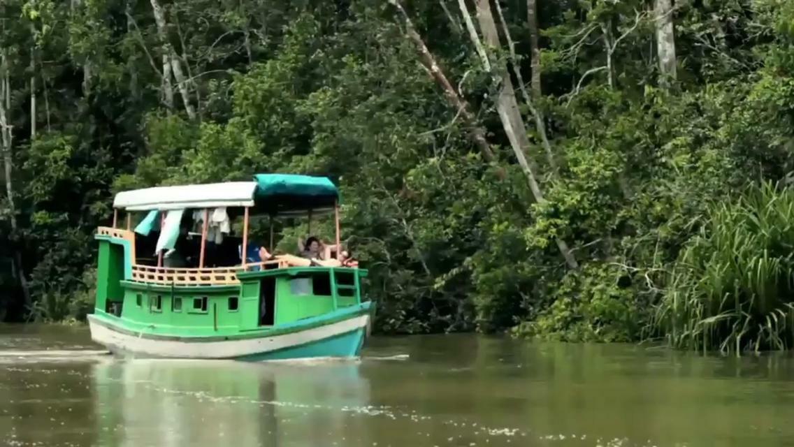 Orangutan Shaka Houseboat With Cabin Pangkalanbuun Buitenkant foto