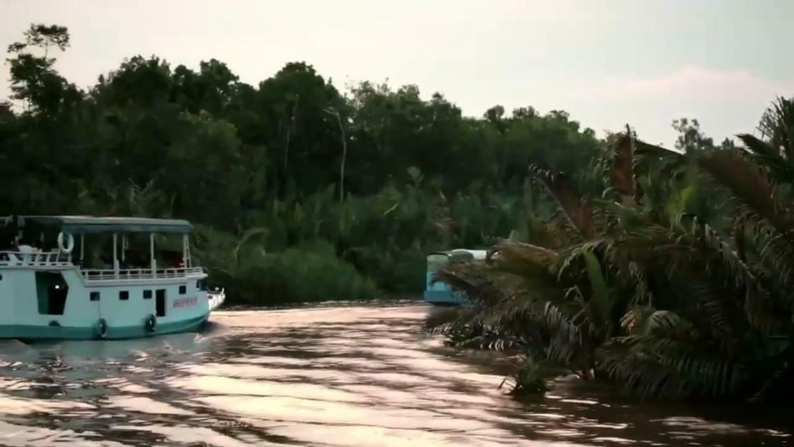 Orangutan Shaka Houseboat With Cabin Pangkalanbuun Buitenkant foto