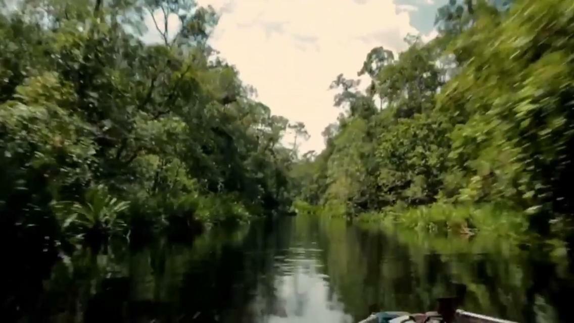 Orangutan Shaka Houseboat With Cabin Pangkalanbuun Buitenkant foto