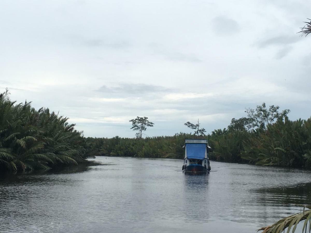 Orangutan Shaka Houseboat With Cabin Pangkalanbuun Buitenkant foto