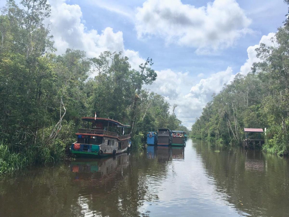Orangutan Shaka Houseboat With Cabin Pangkalanbuun Buitenkant foto